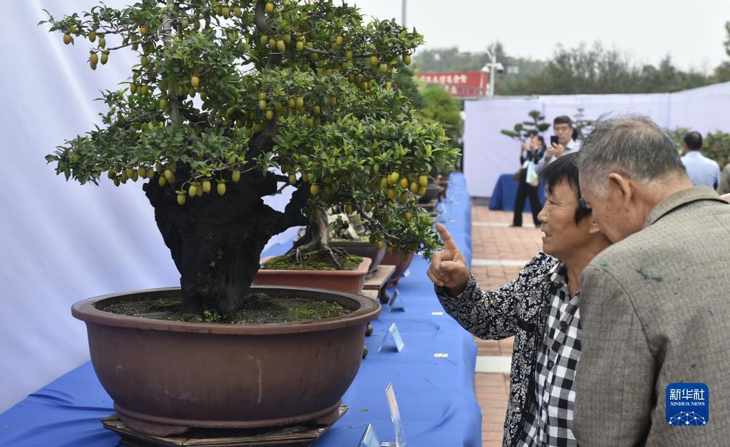 荣慱平台